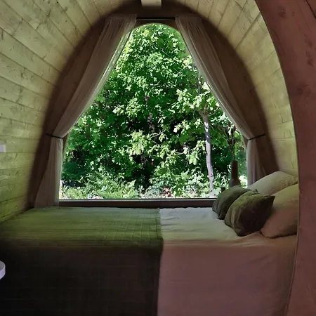 Thuysgrond Campingplatz *