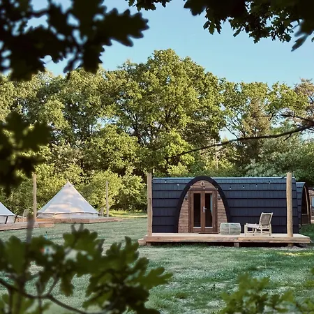 Thuysgrond 캠프장 버기크