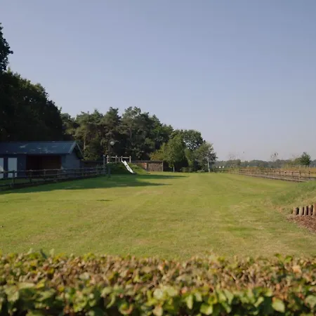Thuysgrond * Bergeijk