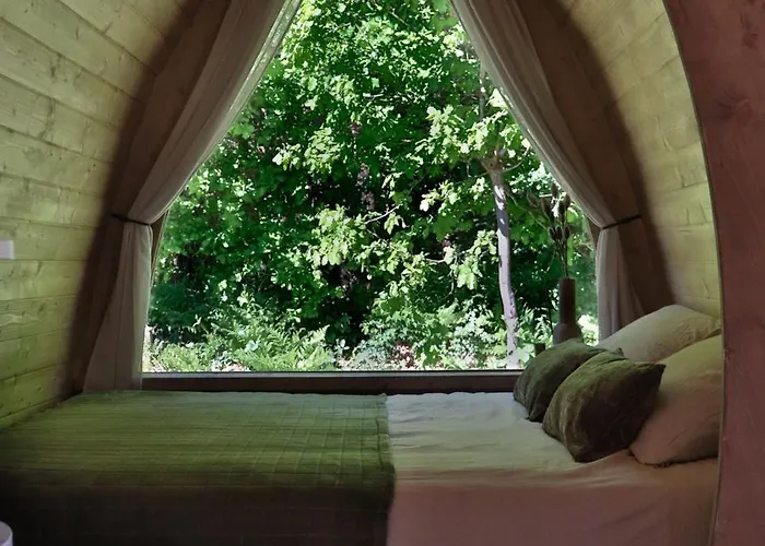 Thuysgrond 캠프장 *