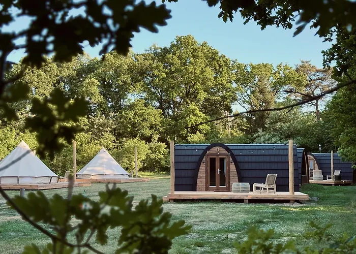 Thuysgrond אתר קמפינג Bergeijk