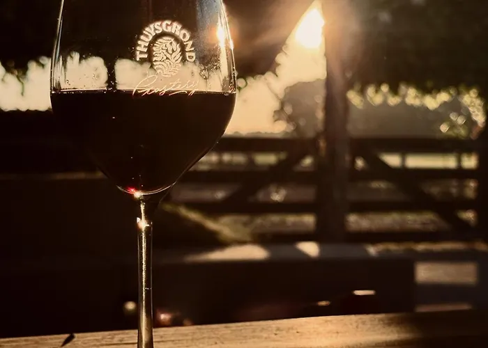 Thuysgrond 캠프장 버기크