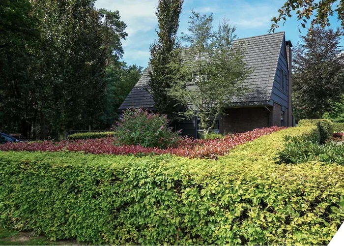 Campsite Thuysgrond *