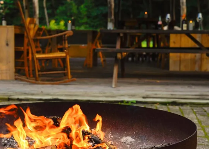 Thuysgrond Campsite Bergeijk