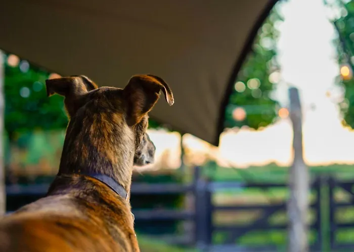 Thuysgrond * Bergeijk