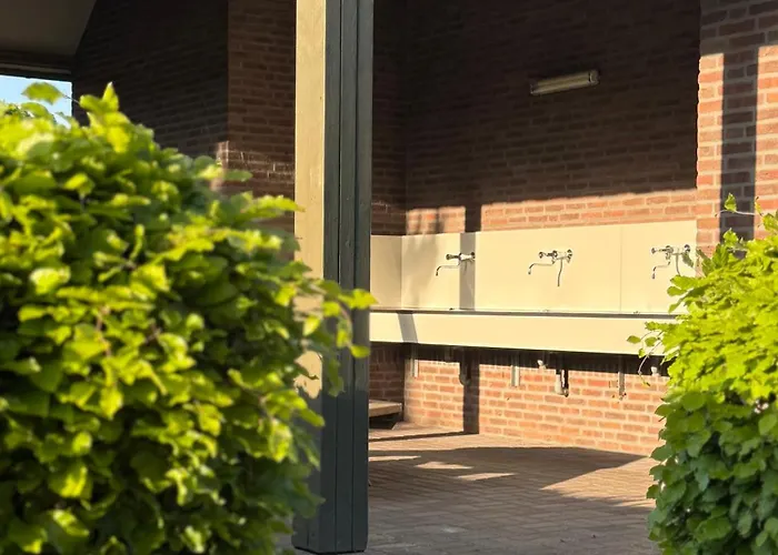 Campsite Thuysgrond *